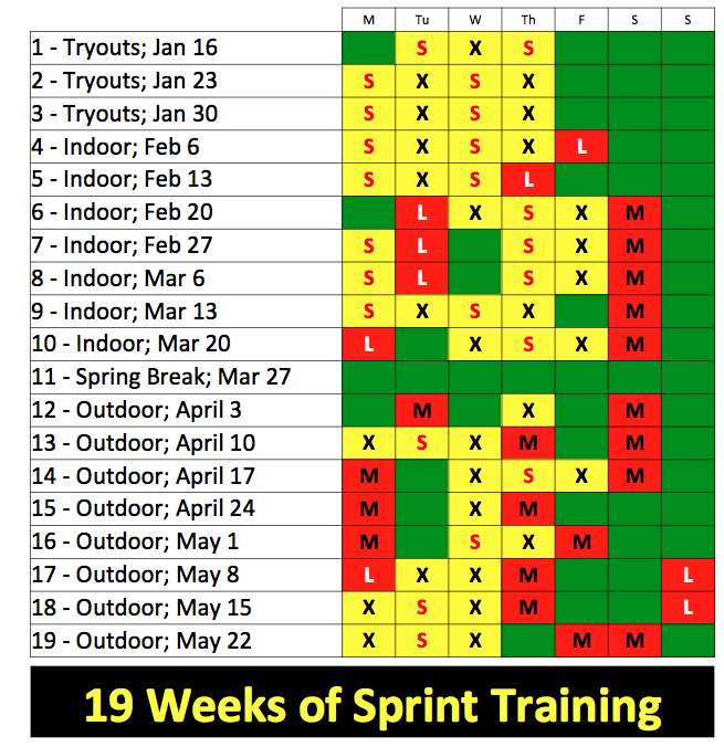 Feed the cats outlet sprint training