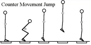 The Difference Between the Countermovement and Squat Jump Performances ...