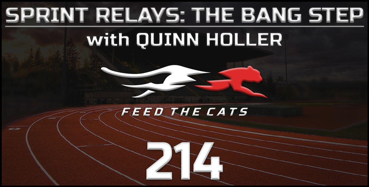 Feed The Cats 214